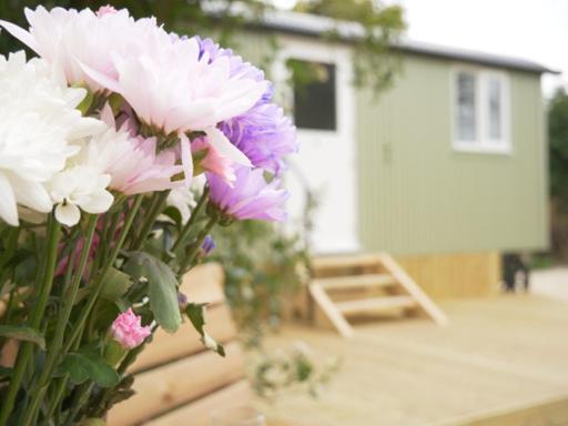 Villa Wolstonbury Getaway Hassocks Exterior foto
